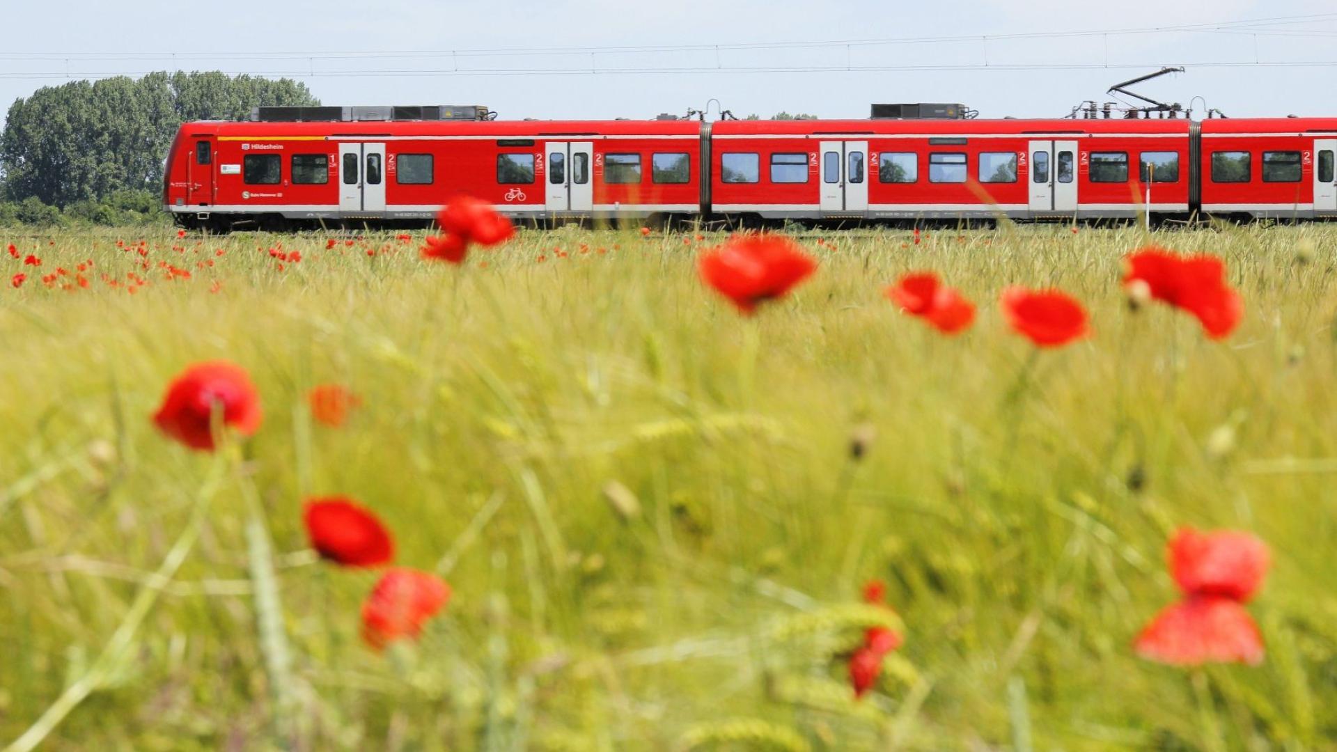 Regionalbahn und Wiese bei Minden